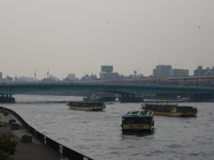 隅田川～言問橋～20060408