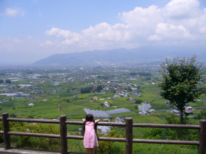 ぶどうの丘より勝沼の街を臨む ぶどうの丘より勝沼の街を臨む